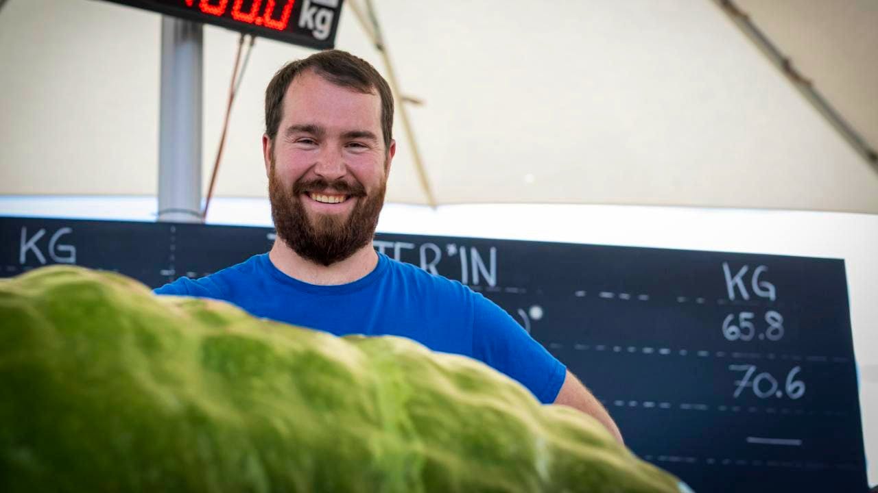 Landwirtschaft. Der schwerste Kürbis der Schweiz wiegt 766 Kilogramm