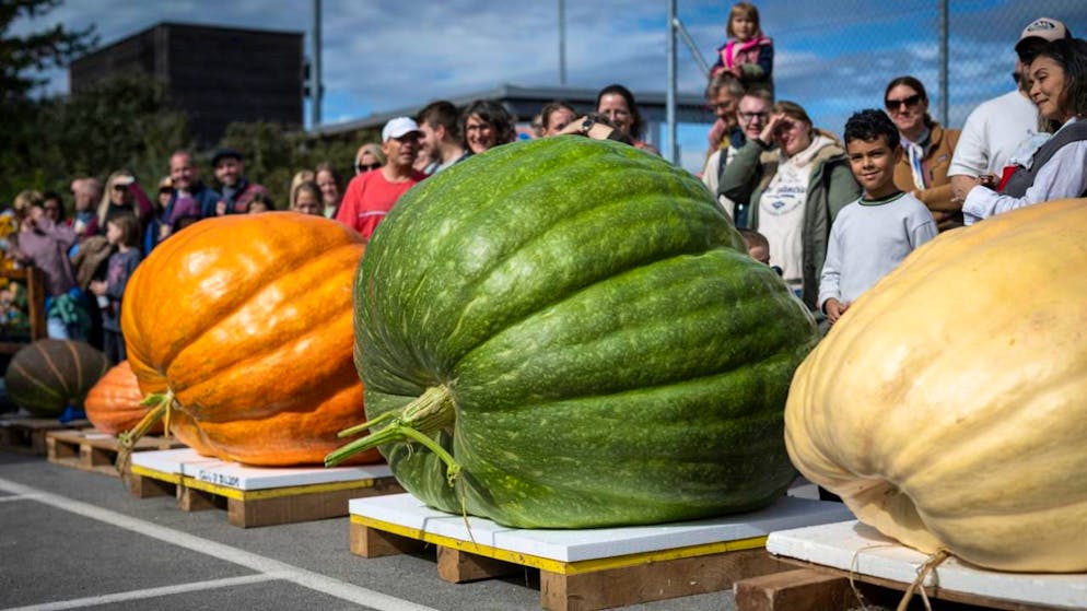 Il concorso svoltosi a Jona, nel canton San Gallo.
