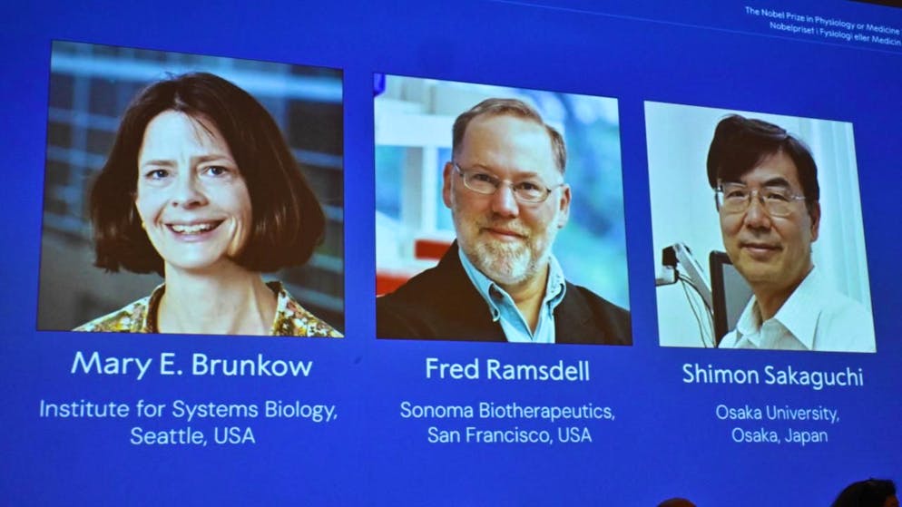 Per le scoperte sull'immunologia. Il Nobel per la Medicina va Mary Brunkow, Fred Ramsdell e Shimon Sakaguchi