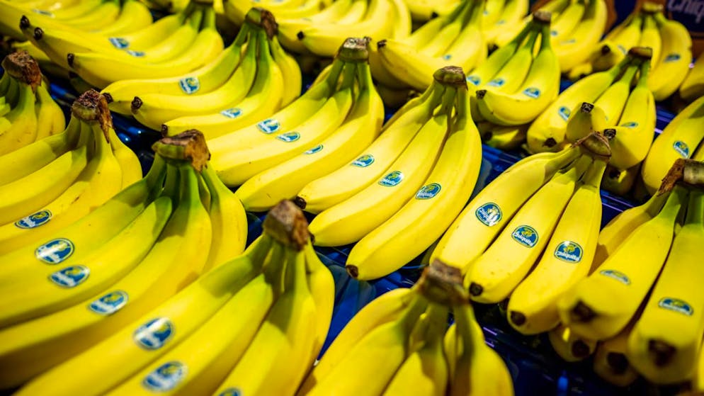 Bald Chiquita-Bananen aus Italien? Der Klimawandel soll es möglich machen. (Archivbild)