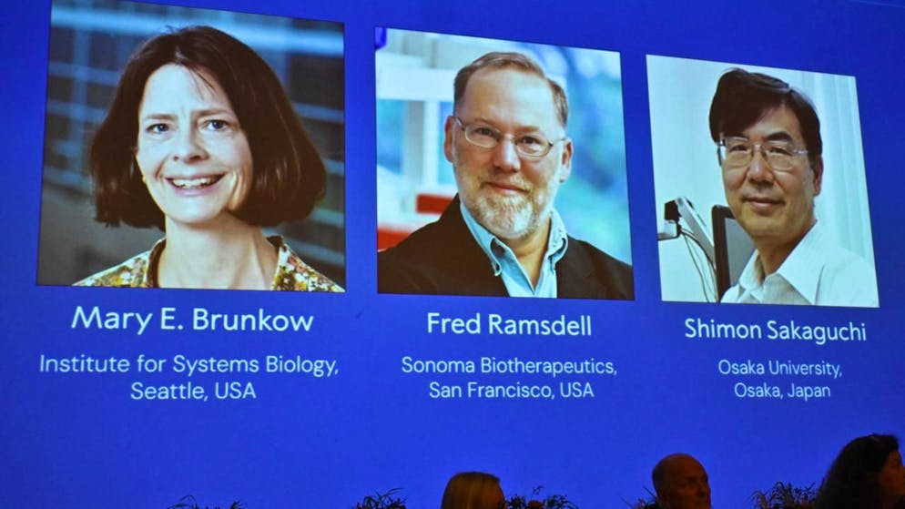 dpatopbilder - Ein Bildschirm zeigt die Fotos von Mary E. Brunkow, Fred Ramsdell und Shimon Sakaguchi, denen der Nobelpreis für Medizin oder Physiologie verliehen wurde, bei der Nobelversammlung des Karolinska Institutet in Stockholm, Schweden. Foto: Claudio Bresciani/TT News Agency/AP/dpa