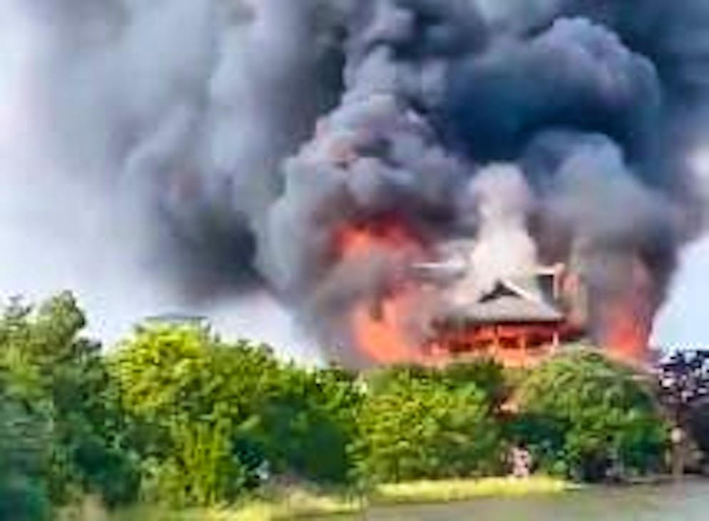 La villa di Diane Goodstein è andata in fiamme.