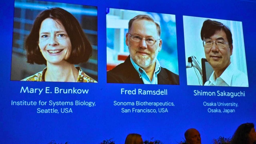 dpatopbilder - A screen shows the photos of Mary E. Brunkow, Fred Ramsdell and Shimon Sakaguchi, who were awarded the Nobel Prize in Medicine or Physiology, at the Nobel Assembly at the Karolinska Institutet in Stockholm, Sweden. Photo: Claudio Bresciani/TT News Agency/AP/dpa