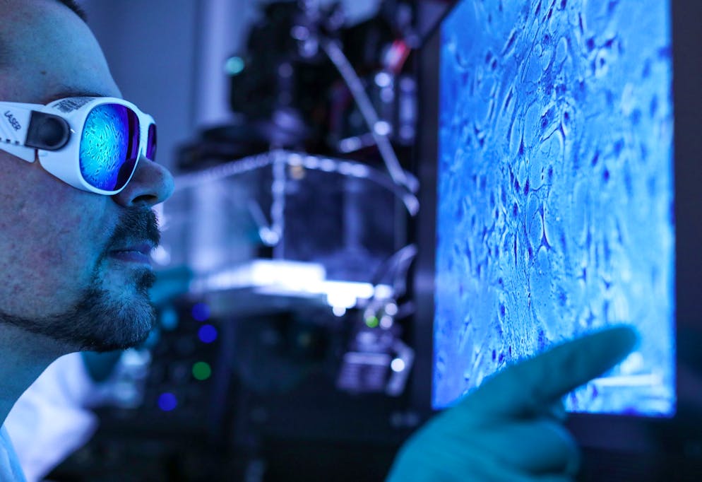 Immagine illustrativa