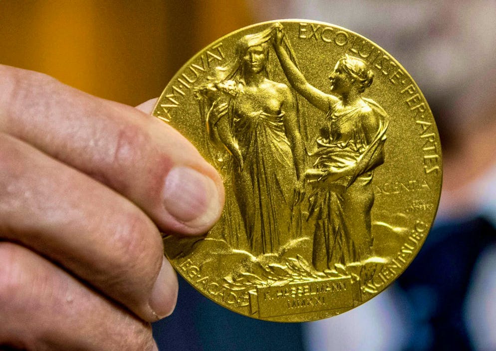 Nobel Prize in Physics for three quantum physicists - Gallery. The reverse of the Nobel Medal for Physics depicts nature in the form of a goddess emerging from the clouds and holding a cornucopia. The veil covering her face is held up by the genius of science. (archive picture)