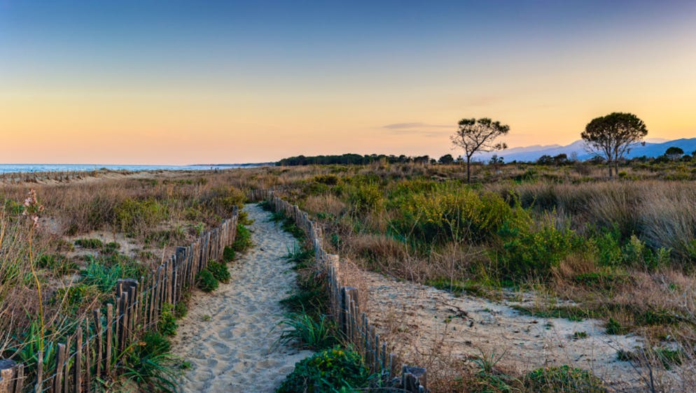 Cet homme a été découvert le 29 septembre sur la plage de la Marana, au sud de Bastia.