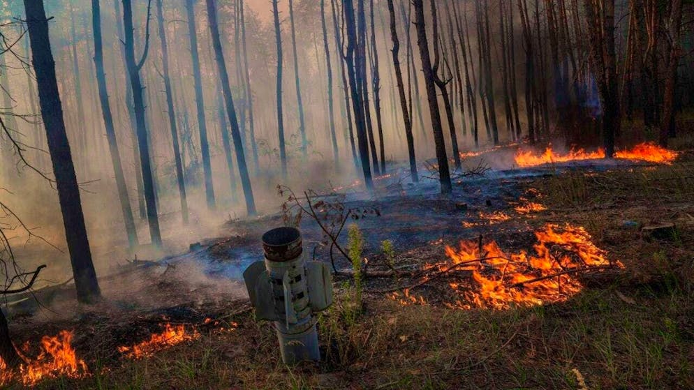 ARCHIVE - An MSLR missile bar is seen in a forest fire after a Russian attack near Sloviansk. Photo: Evgeniy Maloletka/AP/dpa