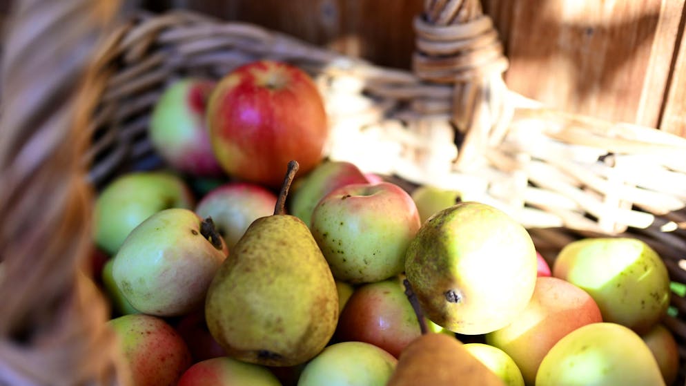 Pesava solo 22 kg. Influencer va a Bali per mangiare solo frutta, trovata morta in casa