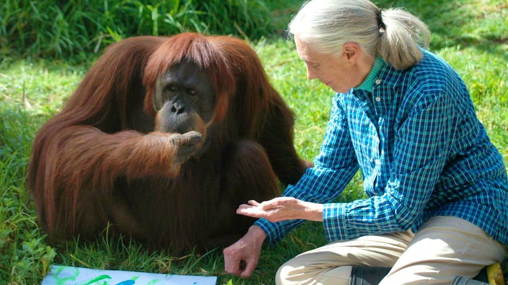 Kolumne. Warum ich eine Drama-Queen sein will