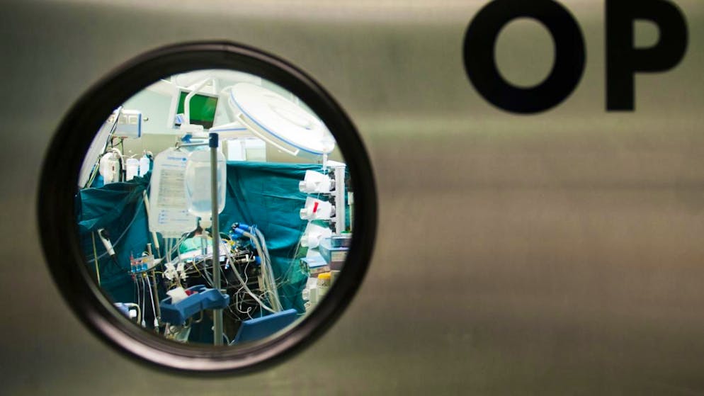 Die Zahl der Spender reicht bei weitem nicht, um den Bedarf an Organen zu decken. Organe von Schweinen gelten als mögliche Lösung. (Themenbild)