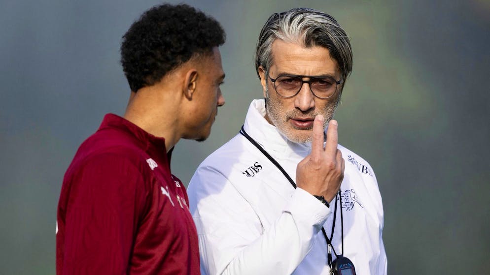 Qualifications Mondial 2026. Une Suède «en mode survie» se dresse face à la Suisse