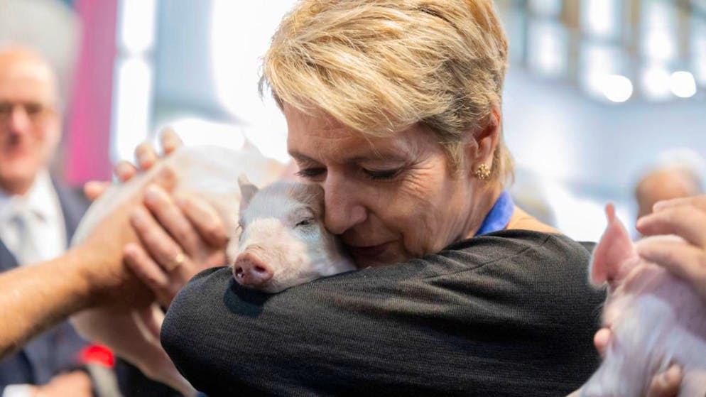 St-Gall. Karin Keller-Sutter a inauguré la 82e foire agricole Olma