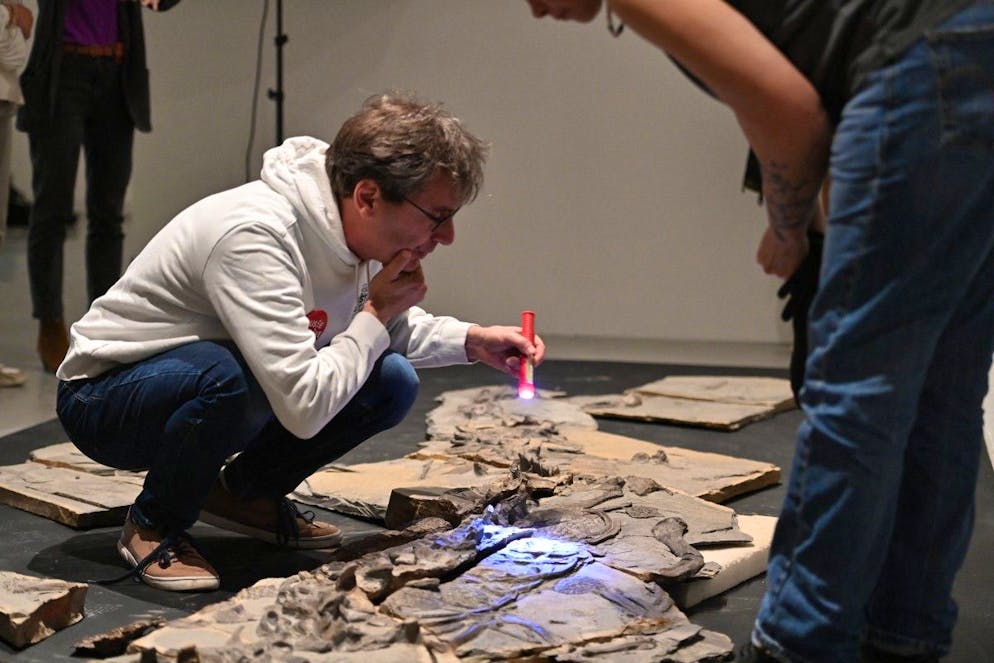 Stéphane Fouché, responsable des collections de paléontologie du musée de Lodève, a reconstitué le fossile.