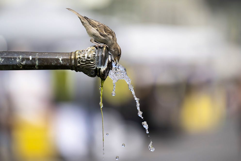 L'eau, même bouillie, est toujours impropre à la consommation à Daillens (VD), annonce samedi la commune (image d'illustration).