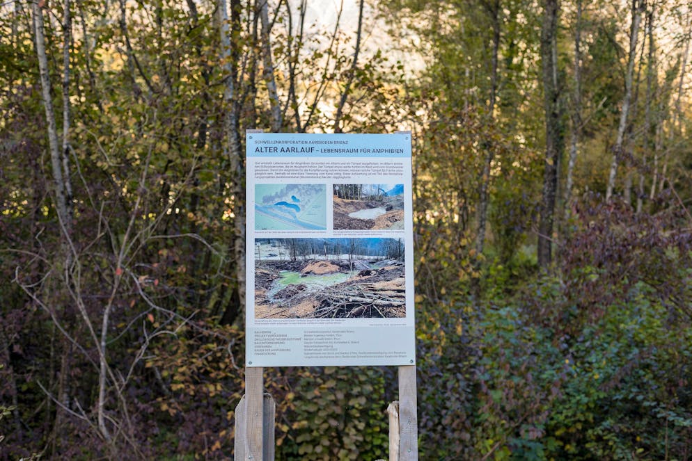 Diesel-Unfall in Meiringen BE. Auch ein geschütztes Gebiet für Amphibien gibt es dort.