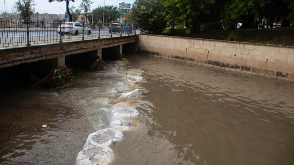 Der Sturzbach Sa Riera in Palma führt viel Wasser. Foto: Clara Margais/dpa