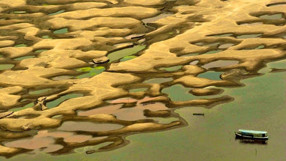 Coral reefs are almost lost, the Amazon is teetering: researchers warn of domino effects that could irreversibly change our lives and nature. (archive image)