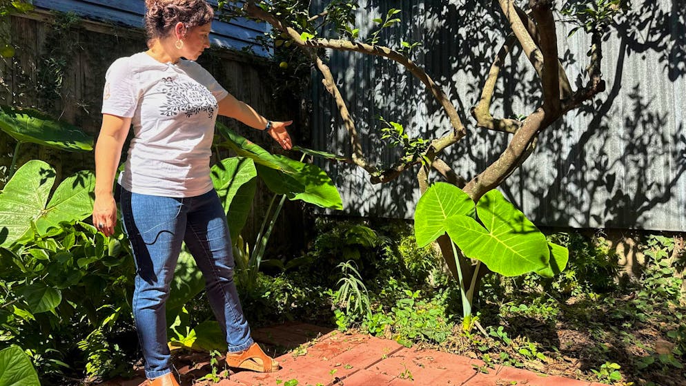«Niemand von uns wusste, was es war». Wie kommt der antike Grabstein in einen Garten in New Orleans?