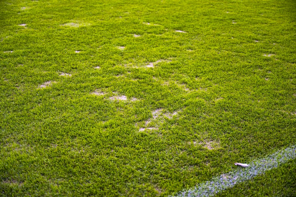 The surface doesn't look very good in various places.