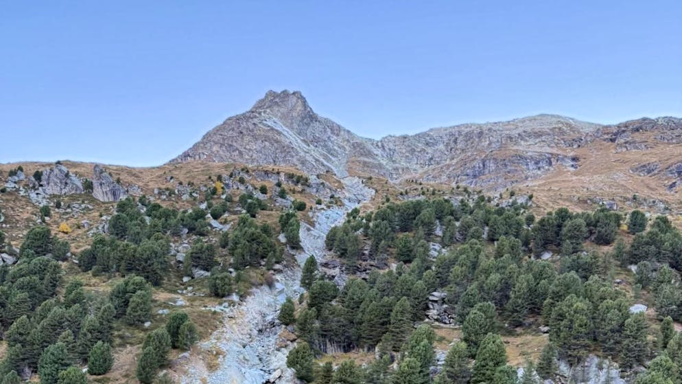 Il corpo senza vita del 55enne è stato ritrovato stamattina in zona Senda Alp Ota sul terreno del Comune di Pontresina.