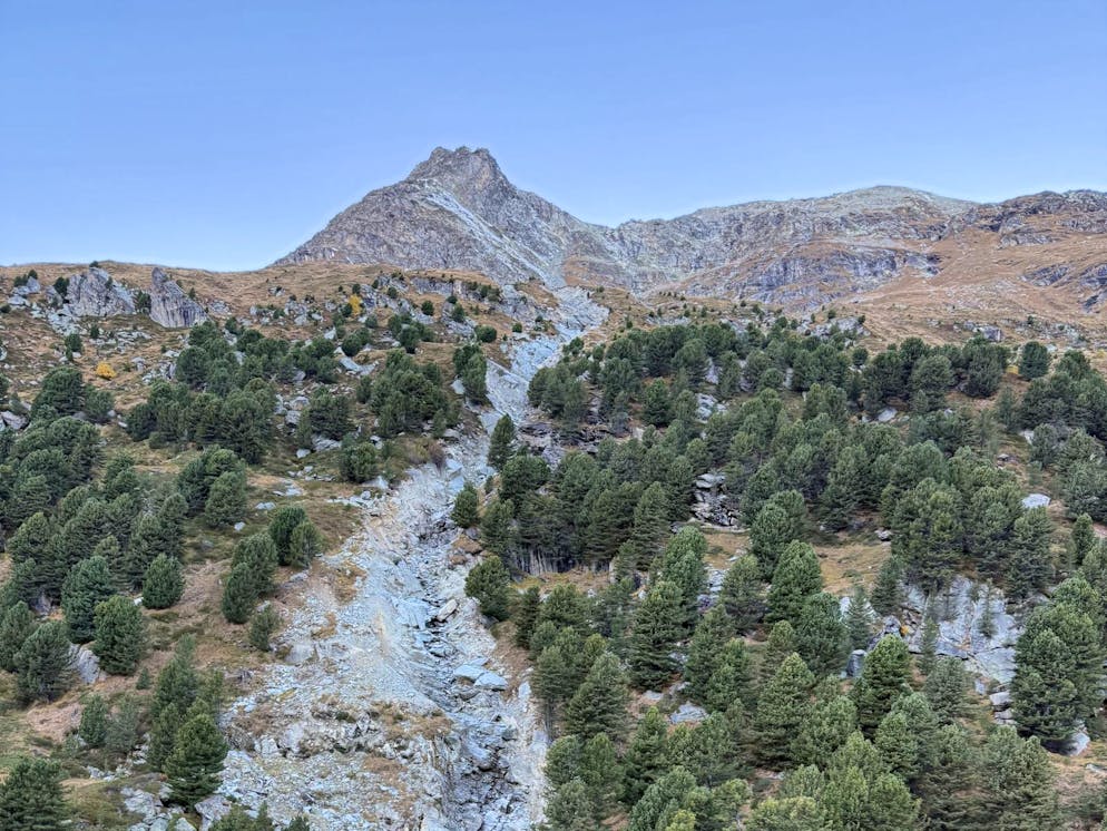 Heute wurde ein seit gestern Nachmittag in Samedan vermisster Wanderer im Gebiet Senda Alp Ota tot aufgefunden.