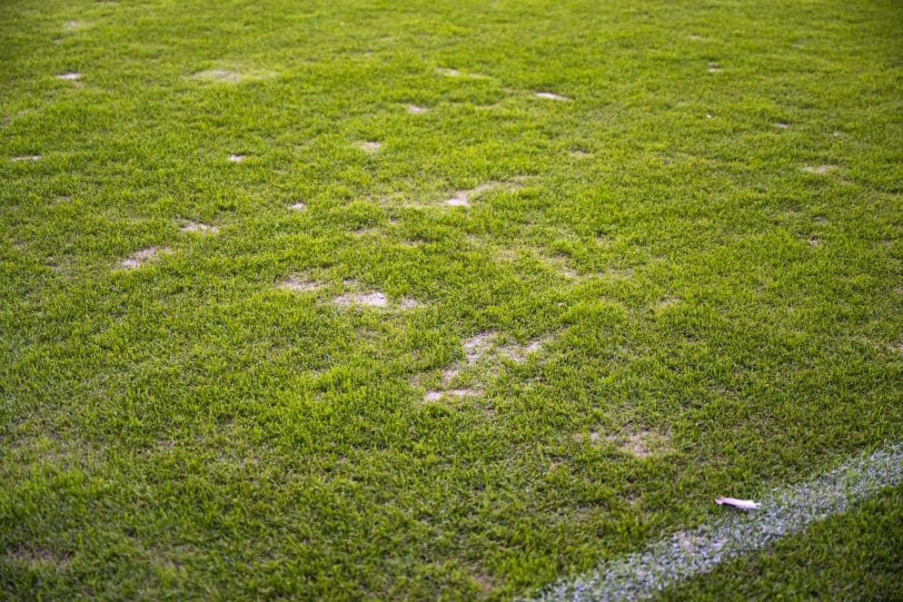 Die Unterlage sieht an an verschiedenen Orten nicht sehr gut aus.