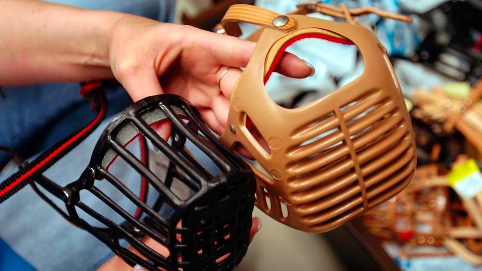 Während des juristischen Verfahrens um den Rassetyp eines Hundes im Kanton Zürich durfte ihn dessen Halter nur mit Maulkorb spazieren führen. (Themenbild)