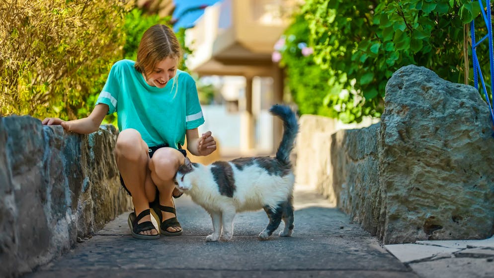 A Cipro ci sono tanti gatti quanti abitanti.