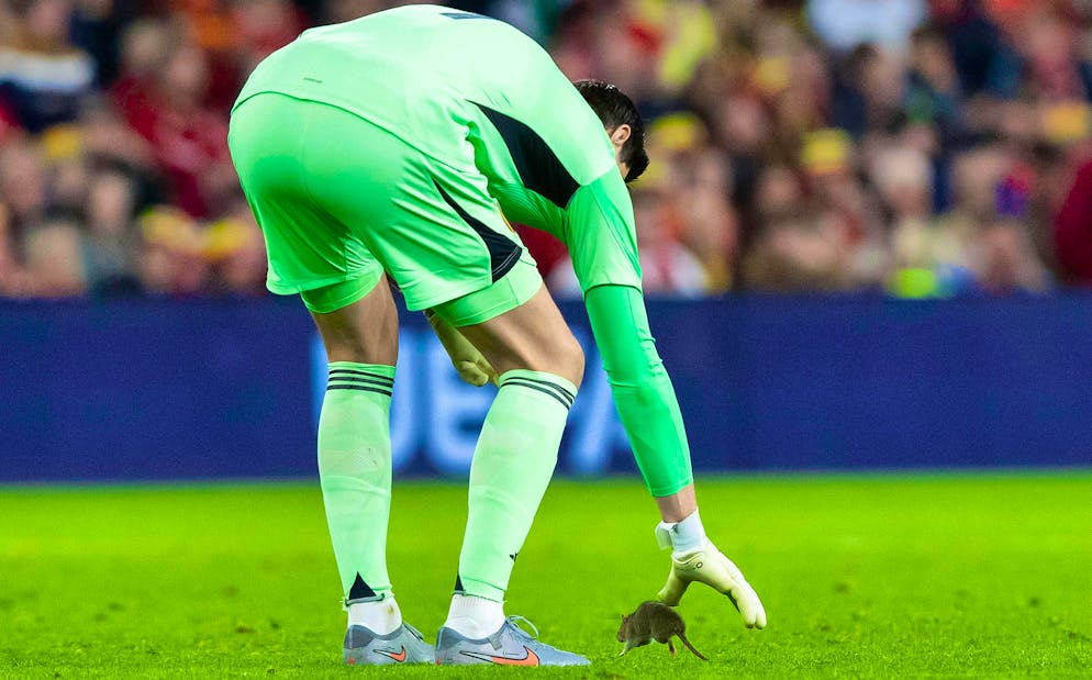 Belgium goalie Thibaut Courtois tries in vain to catch the troublemaker.