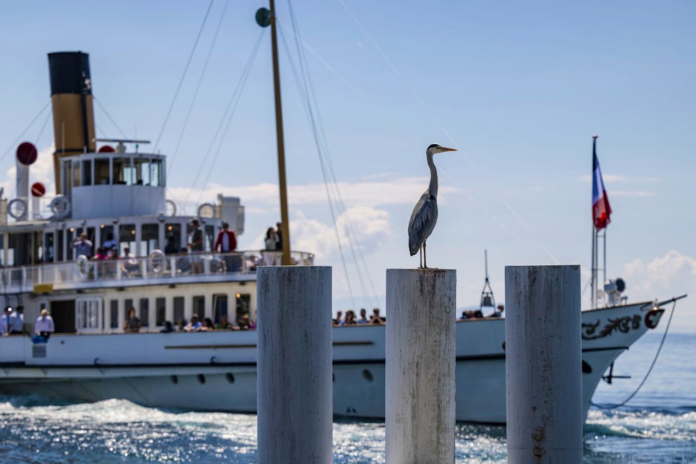 En 2026, il n'y aura plus que six allers-retours par jour entre Thonon-les-Bains et Lausanne, contre une quinzaine actuellement.