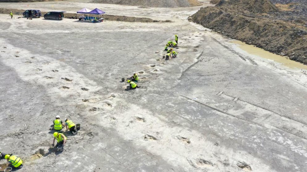 Le orme di dinosauro portate alla luce nell'Oxfordshire.