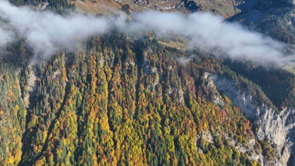 Im Gebiet Gwandwald oberhalb von Brienz ist eine Bergwanderin tödlich verunglückt.