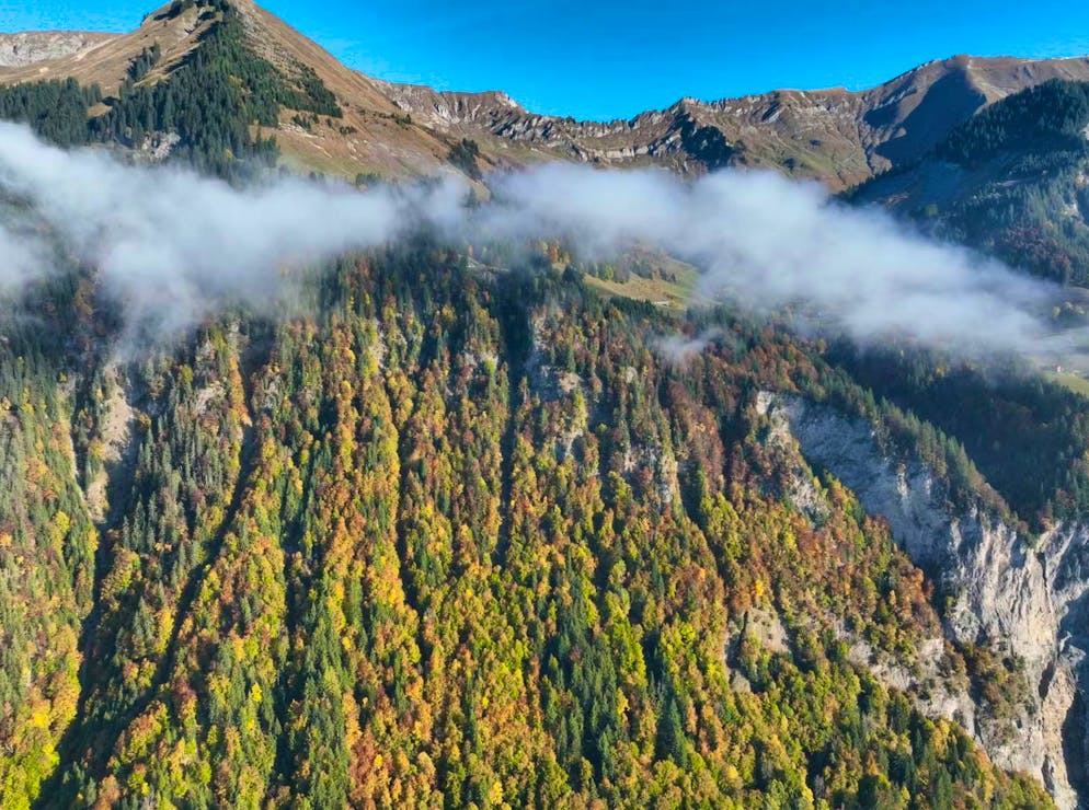 A woman who went missing in the Brienzer Rothorn region after a mountain hike was found dead on Tuesday afternoon as part of a search operation by emergency services.