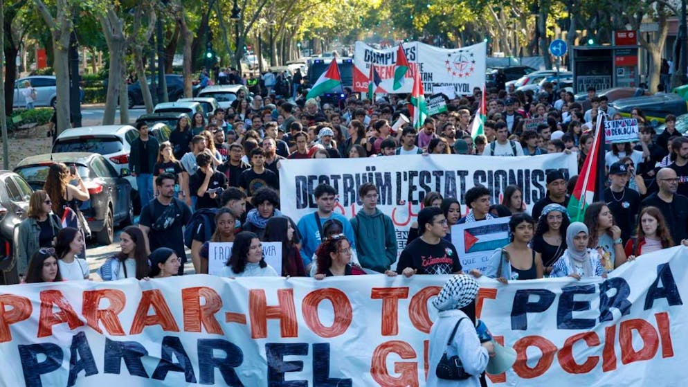 La manifestazione degli studenti a sostegno del popolo palestinese a Valencia