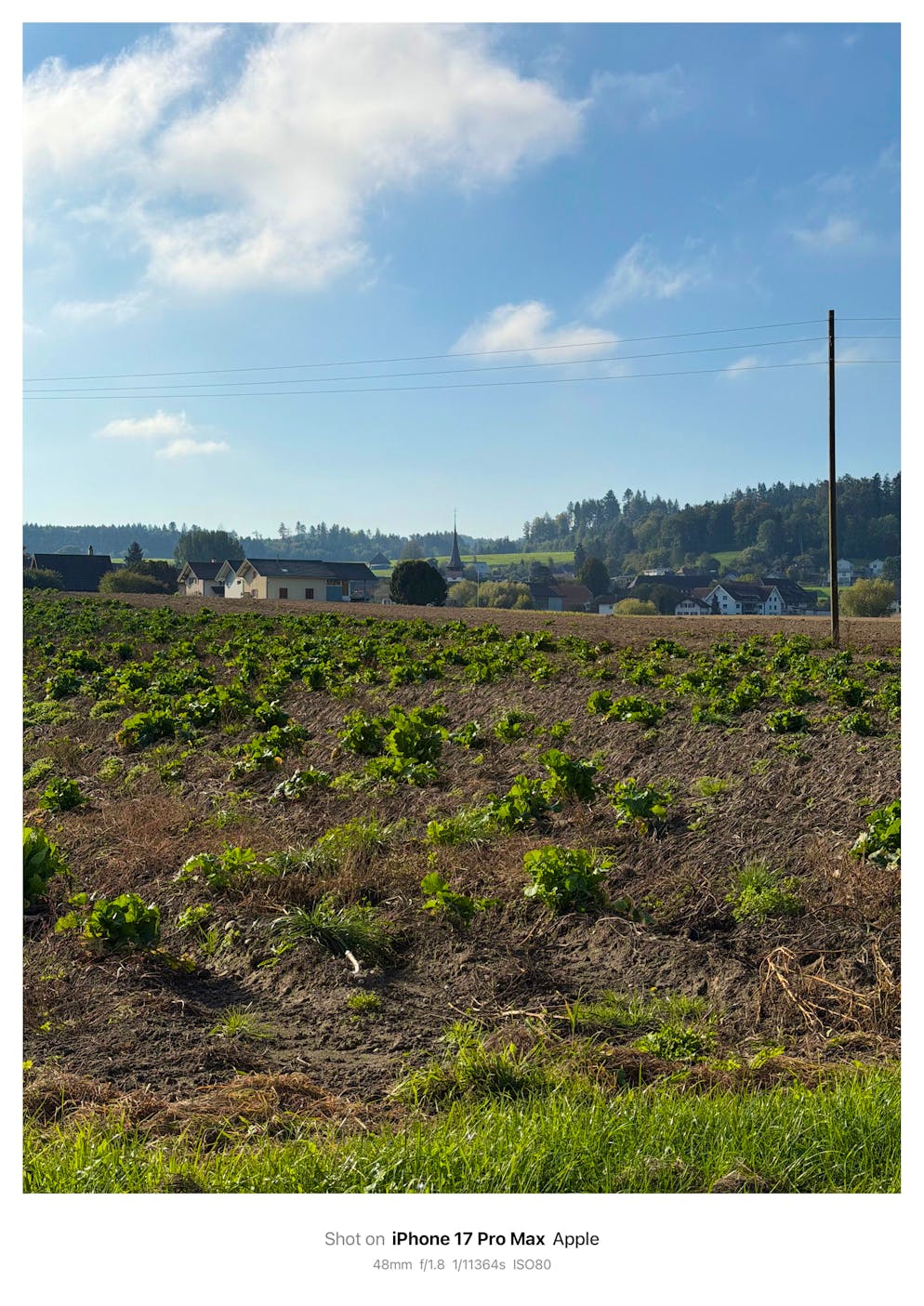 Kameravergleich iPhone 16 Pro Max vs iPhone 17 Pro Max. Foto mit iPhone 17 Pro Max