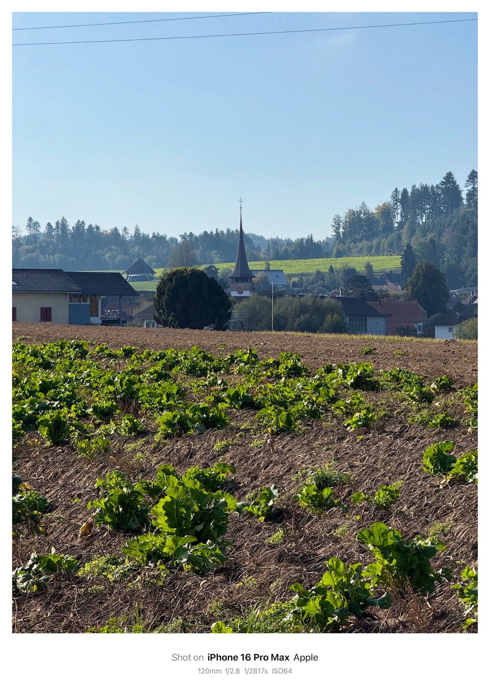 Kameravergleich iPhone 16 Pro Max vs iPhone 17 Pro Max. Foto mit iPhone 16 Pro Max