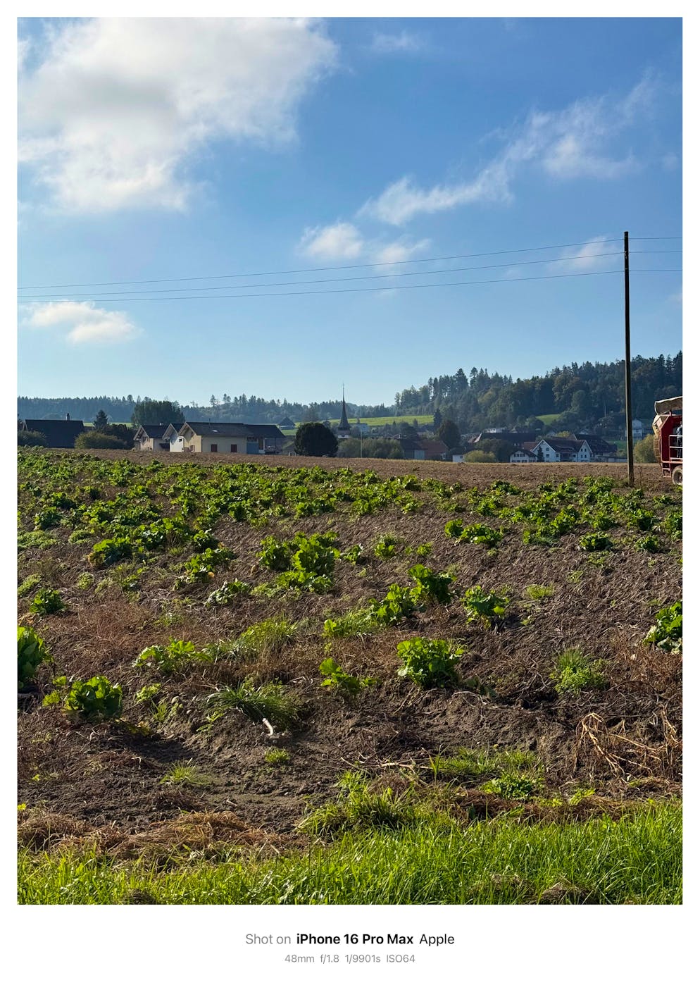 Kameravergleich iPhone 16 Pro Max vs iPhone 17 Pro Max. Foto mit iPhone 16 Pro Max