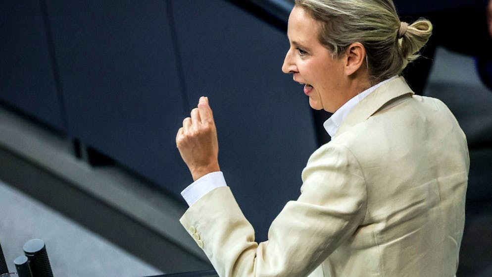 «Ich stelle Ihnen das Mikro aus». AfD-Chefin Weidel redet unbeirrt weiter – dann platzt Klöckner der Kragen
