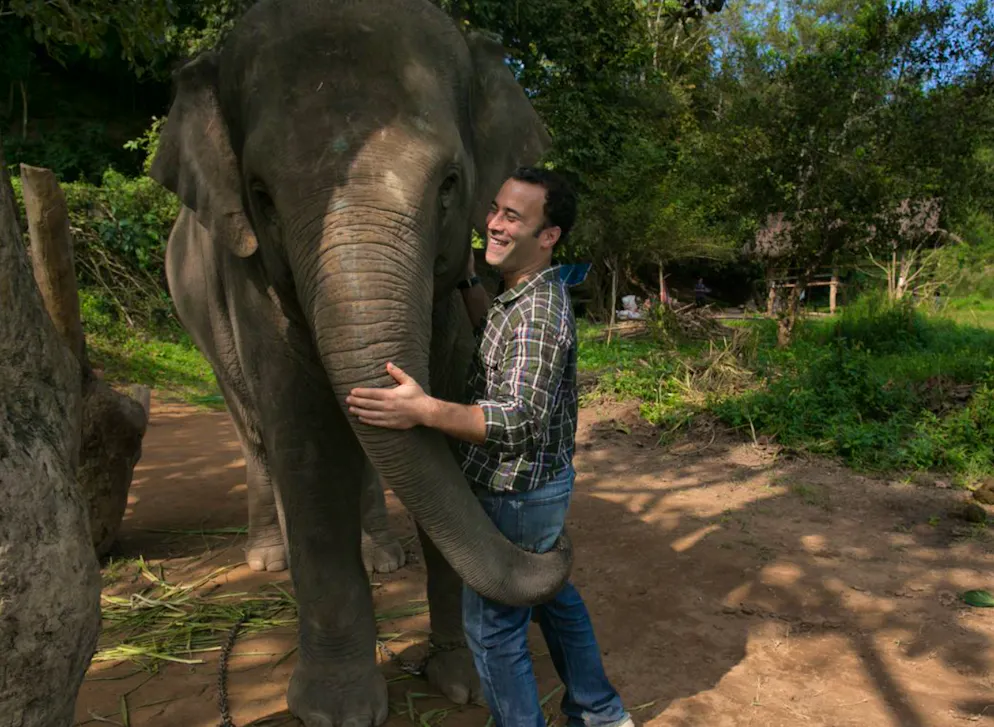 Kaffe-Facts und kurioses. Blake Dinkin fand sie nach einer experimentellen Weile im thailändischen Elefanten. Eine Gruppe dieser Tiere frisst, verdaut und entsorgt Kaffeekirschen und ihre Kerne. Daraus entsteht der «Black Ivory Coffee» («Schwarzes Elfenbein»), der aktuell weltweit teuerste Kaffee.
