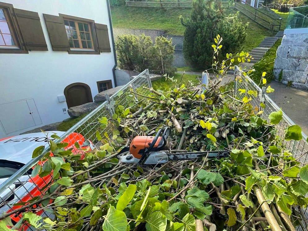 The worker was injured by the chainsaw. 