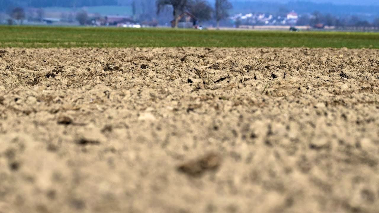 Klima. Extreme Dürren bringen Ökosysteme aus dem Gleichgewicht