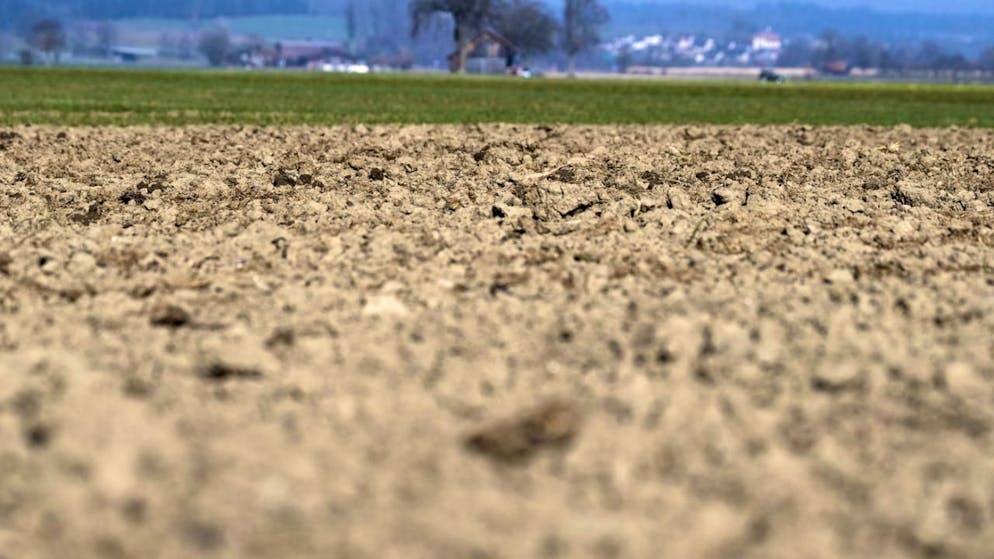 Extreme, langanhaltende Dürren bringen Ökosysteme aus dem Gleichgewicht. (Archivbild)
