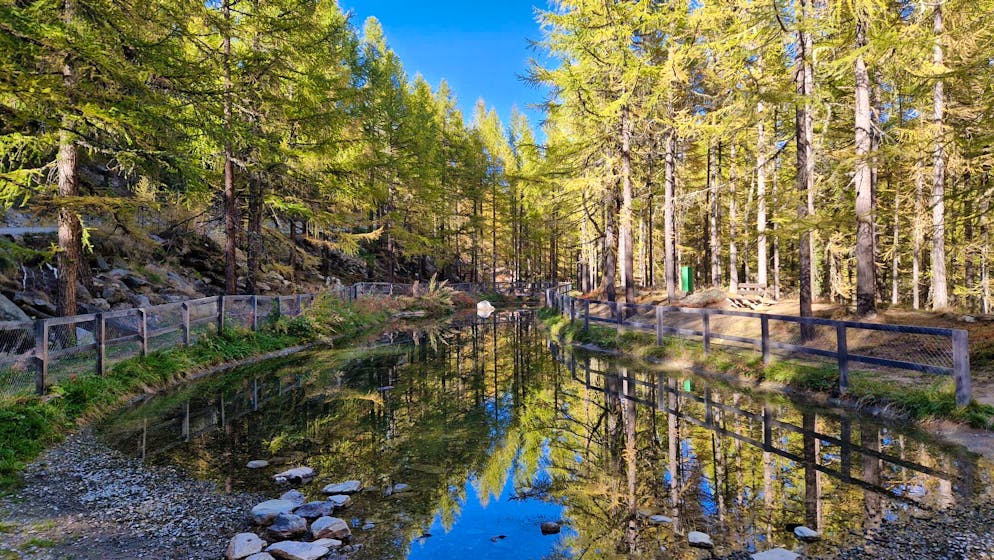 Herbstbilder 2025: Das sind die Bilder der blue News Leser*innen. Edi sendet uns diese Impressionen aus Saas-Fe