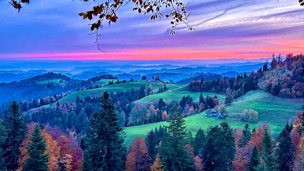 Autumn pictures 2025: These are the pictures of blue News readers. Toni doesn't take us on a trip to Ahornalp ...