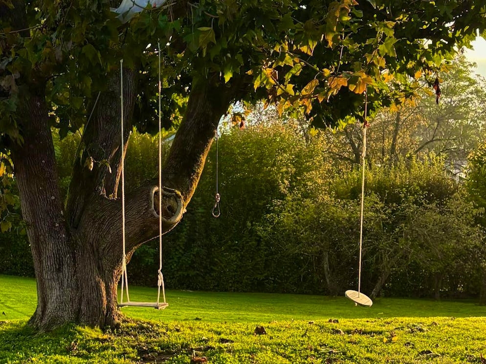 Autumn pictures 2025: These are the pictures of blue News readers. Bremgarten AG by the Reuss and the Vitaparcours