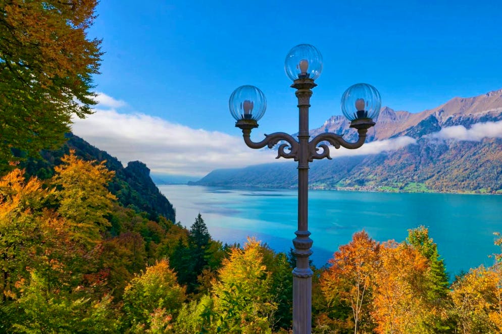 Autumn pictures 2025: These are the pictures of blue News readers. Andy sends and this magnificent view over ...