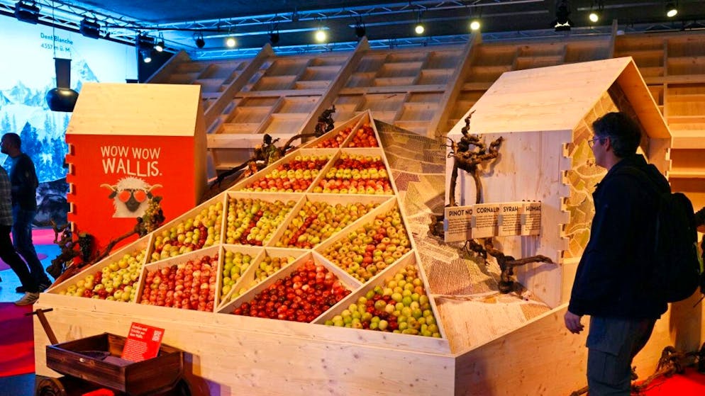 Si conclude la fiera agricola Olma, che vedeva il Vallese come ospite d'onore.