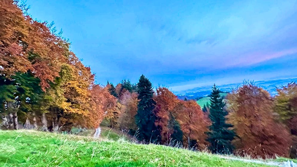 Autumn pictures 2025: These are the pictures of blue News readers. ... near Eriwsil BE, but ...