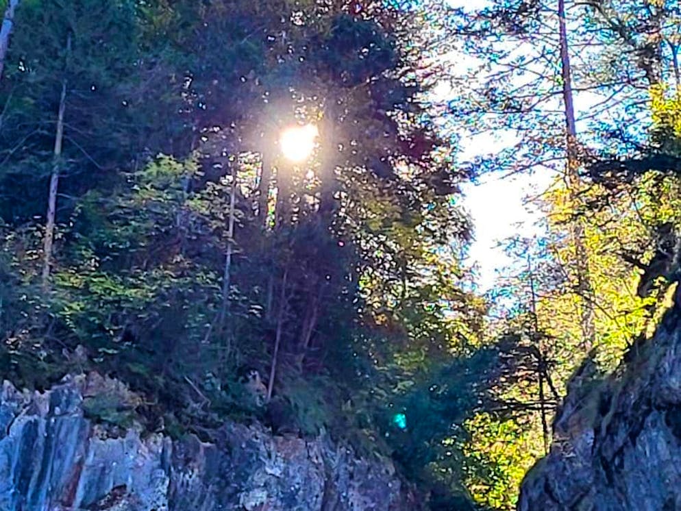 Autumn pictures 2025: These are the pictures of blue News readers. ... and here the Aare gorge.