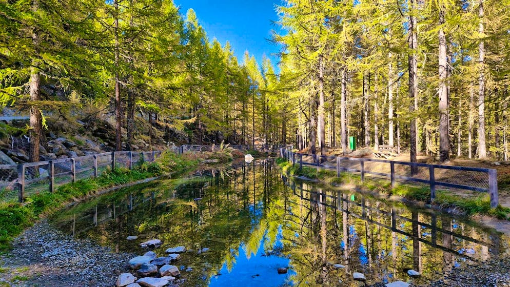 Autumn pictures 2025: These are the pictures of blue News readers. Edi sends us these impressions from Saas-Fe